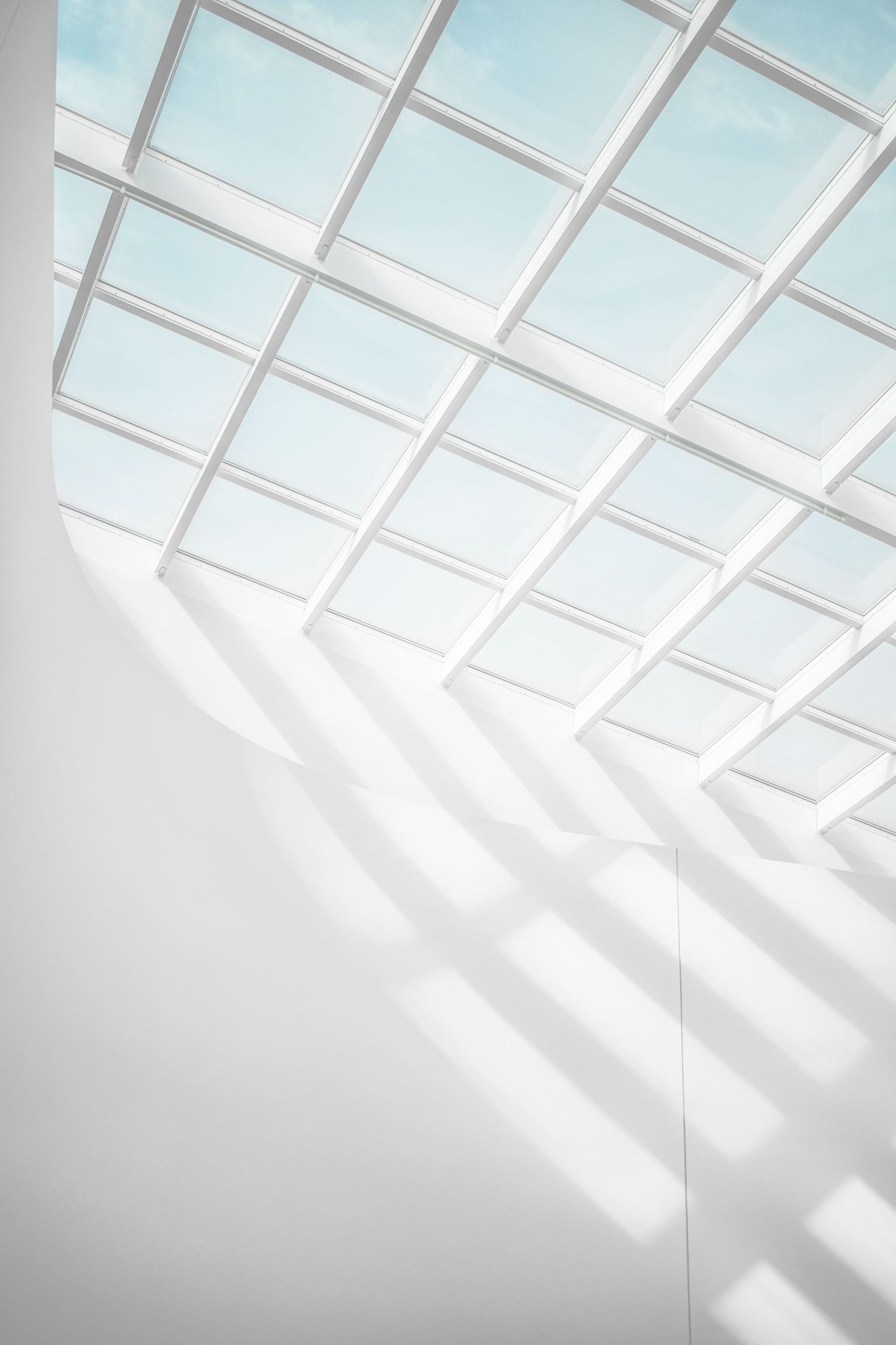 Fenster